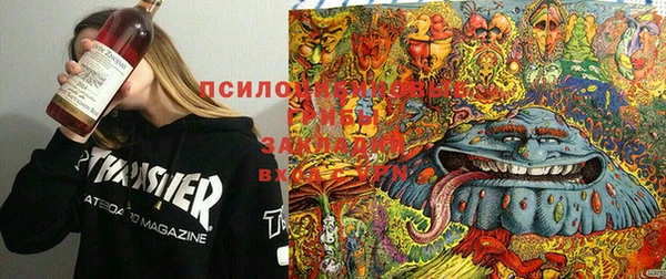 кокс Абинск
