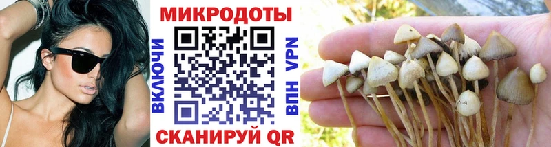 купить наркотики сайты  Южа  Псилоцибиновые грибы MAGIC MUSHROOMS 